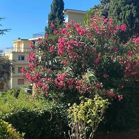 Bilocale In Zona Residenziale Apartament *